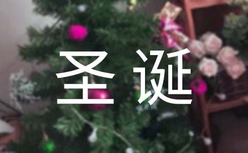 圣誕老人,給我一個媽媽吧2500字作文