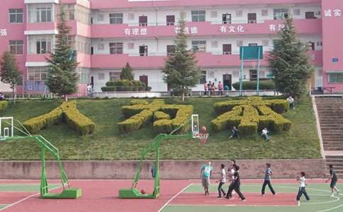 小學生防范校園欺凌的觀后感（精選20篇）