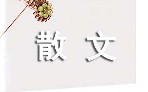 席慕容經典散文