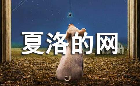 夏洛的網(wǎng)中的好詞好句