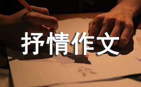 陽光抒情作文（通用48篇）