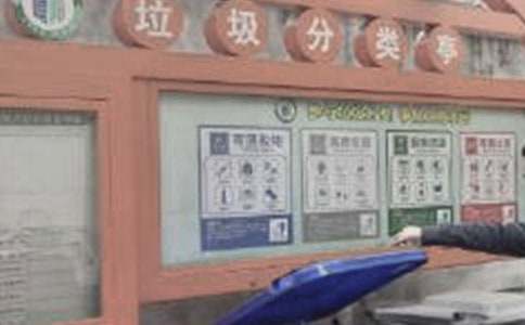 垃圾分類作文800字（通用29篇）