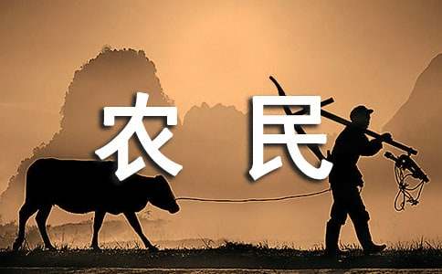 假如我是農民小學生作文