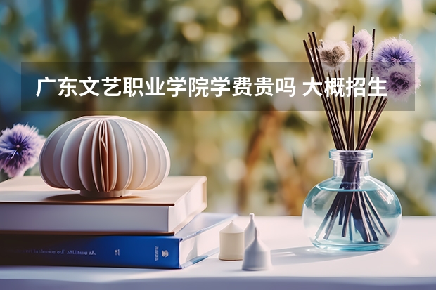 廣東文藝職業學院學費貴嗎 大概招生多少人