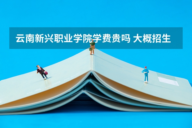 云南新興職業學院學費貴嗎 大概招生多少人