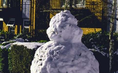 小學一年級作文冬天的雪（精選19篇）