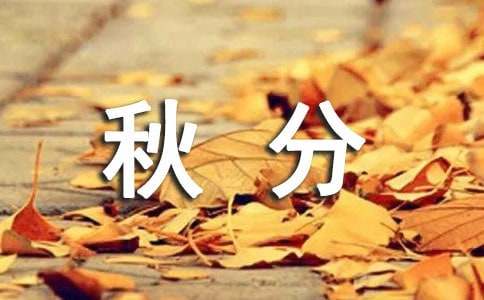 關于月到中秋分外明作文600字（通用46篇）