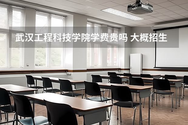 武漢工程科技學(xué)院學(xué)費貴嗎 大概招生多少人