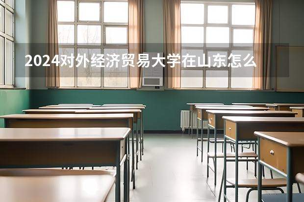 2024對外經濟貿易大學在山東怎么招生