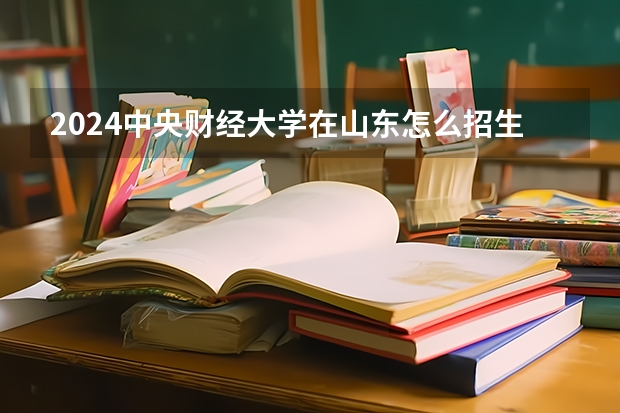2024中央財(cái)經(jīng)大學(xué)在山東怎么招生