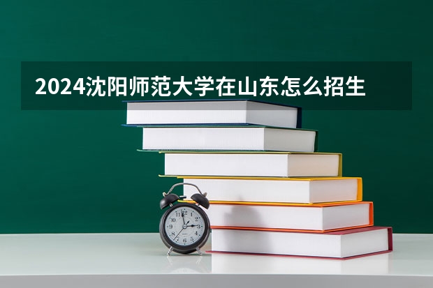 2024沈陽師范大學在山東怎么招生