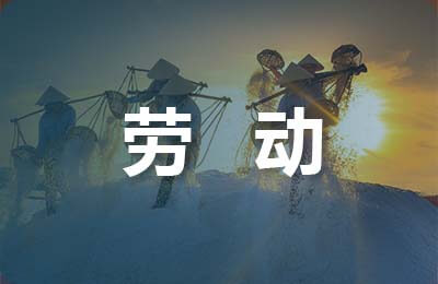 勞動實踐報告