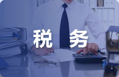 稅務納稅評估報告