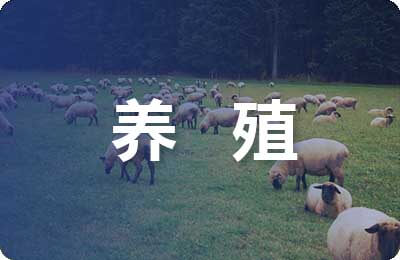 黃鱔的養殖新技術