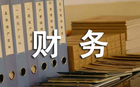 財務總監述職報告