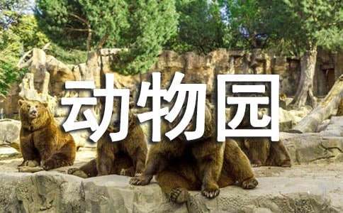 動物園一日游作文300字（精選17篇）