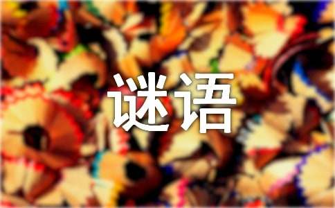 關(guān)于動(dòng)物的謎語及答案210個(gè)
