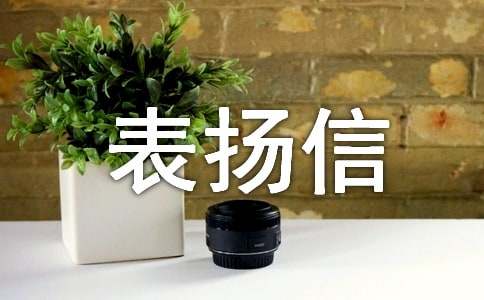 個(gè)人表揚(yáng)信