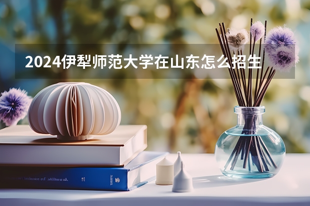2024伊犁師范大學在山東怎么招生