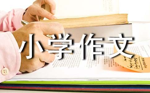 成長的足跡小學作文500字（精選21篇）