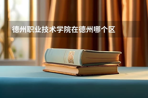德州職業技術學院在德州哪個區