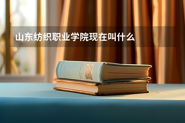 山東紡織職業學院現在叫什么