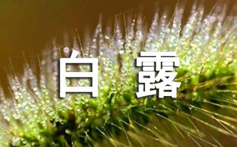白露養生吃什么食譜