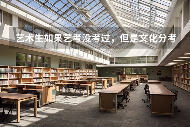 藝術生如果藝考沒考過，但是文化分考得很高可不可以上普通的二本學校（山東省96年高考錄取分數線）