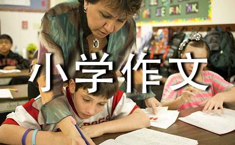 獨一無二的我小學作文500字（精選26篇）