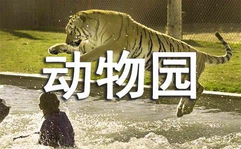 推薦一個(gè)好地方動(dòng)物園小學(xué)作文（精選24篇）