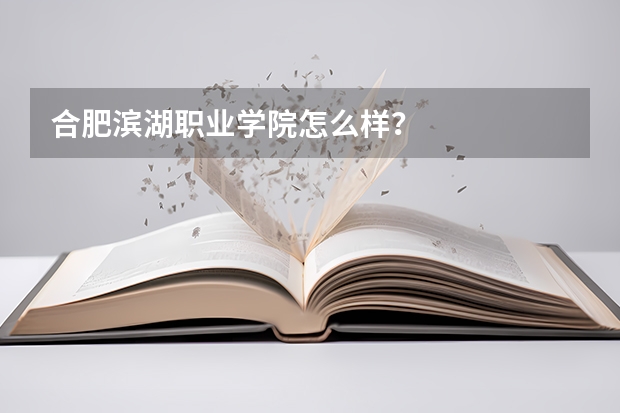 合肥濱湖職業學院怎么樣？