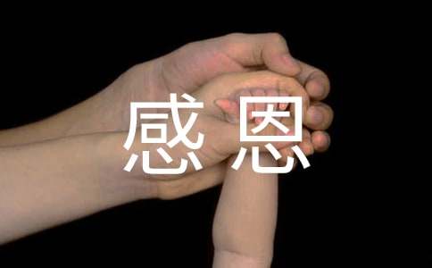 感恩母親的信800字（通用17篇）
