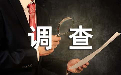 [通用]有關調查報告作文