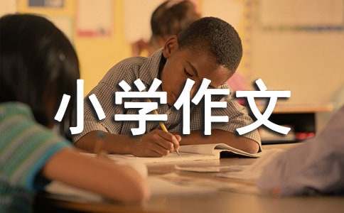 體驗成長的過程小學作文（精選20篇）