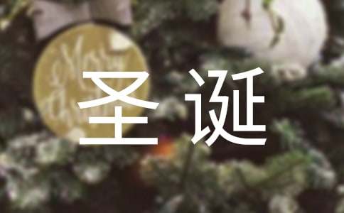 圣誕節二年級作文（精選40篇）