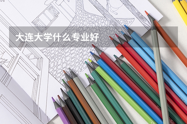 大連大學什么專業好