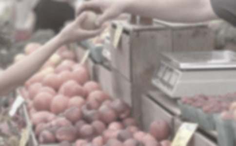 食品市場調查報告范文
