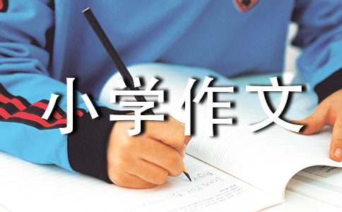 這里有什么的小學作文（精選20篇）