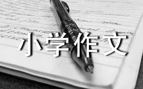 臺兒莊紀念館小學作文（通用5篇）