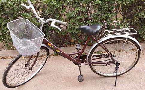 買自行車作文300字（通用15篇）