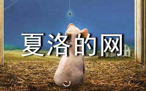 初中英語(yǔ)讀后感：夏洛的網(wǎng)（精選8篇）