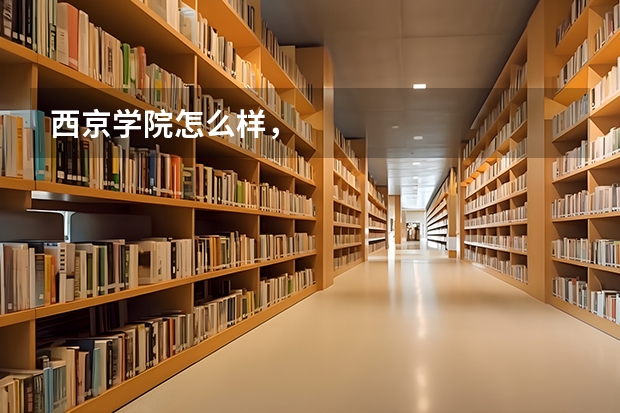 西京學院怎么樣，