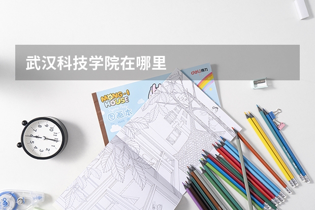 武漢科技學院在哪里