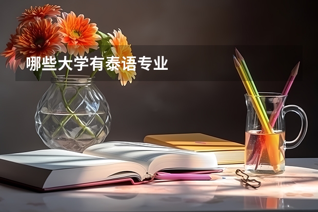 哪些大學有泰語專業