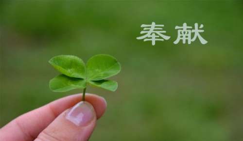 有關于奉獻愛的排比句100句
