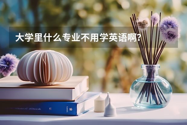 大學里什么專業不用學英語啊？