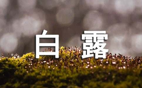 關于白露的詩句（精選200句）