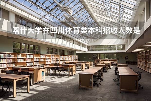 喀什大學在四川體育類本科招收人數是按綜合分錄取嗎