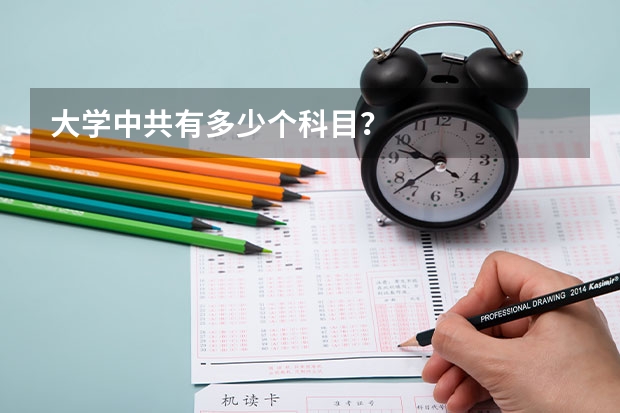 大學中共有多少個科目？