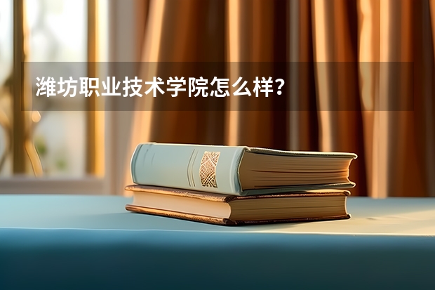 濰坊職業技術學院怎么樣？